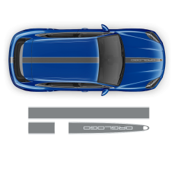 Racing Decals Set in Two Colors for Porsche Cayenne / Macan