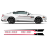 ROUSH Stage1 Stage2 Two Colors Door Stripes for Ford Mustang 2015 - 2020