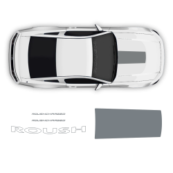 ROUSH Racing Stripes Set for Ford Mustang 2005 - 2014