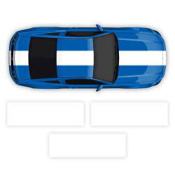 Contoured Racing Stripes over the top for Mustang 2005 - 2014