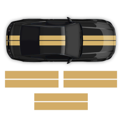 Double Racing Stripes over the top for Mustang 2005 - 2014