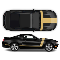 BOSS 302 style Racing stripes set for Ford Mustang 2012 - 2014