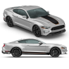 MACH1 Graphic Decals Set for Ford Mustang 2018 - 2021