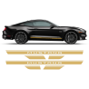 Rocker stripes for Ford Mustang 2015 - 2022