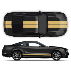 Racing Stripes set for Mustang 2005 - 2014