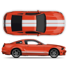 Racing Stripes set for Mustang 2005 - 2014