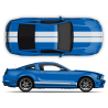 Racing Stripes set for Mustang 2005 - 2014