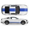 Racing Stripes set for Mustang 2005 - 2014