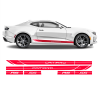 Rocker Side Stripes for Camaro 2016 - 2019