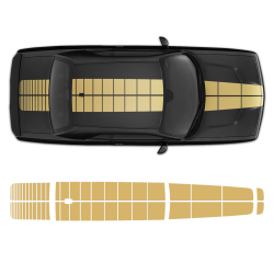 PULSE Rally Top stripes for Hood/Roof/Trunk