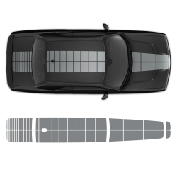 PULSE Rally Top stripes for Hood/Roof/Trunk