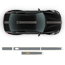 Contoured Racing Stripes Over The Top for BMW 2 series